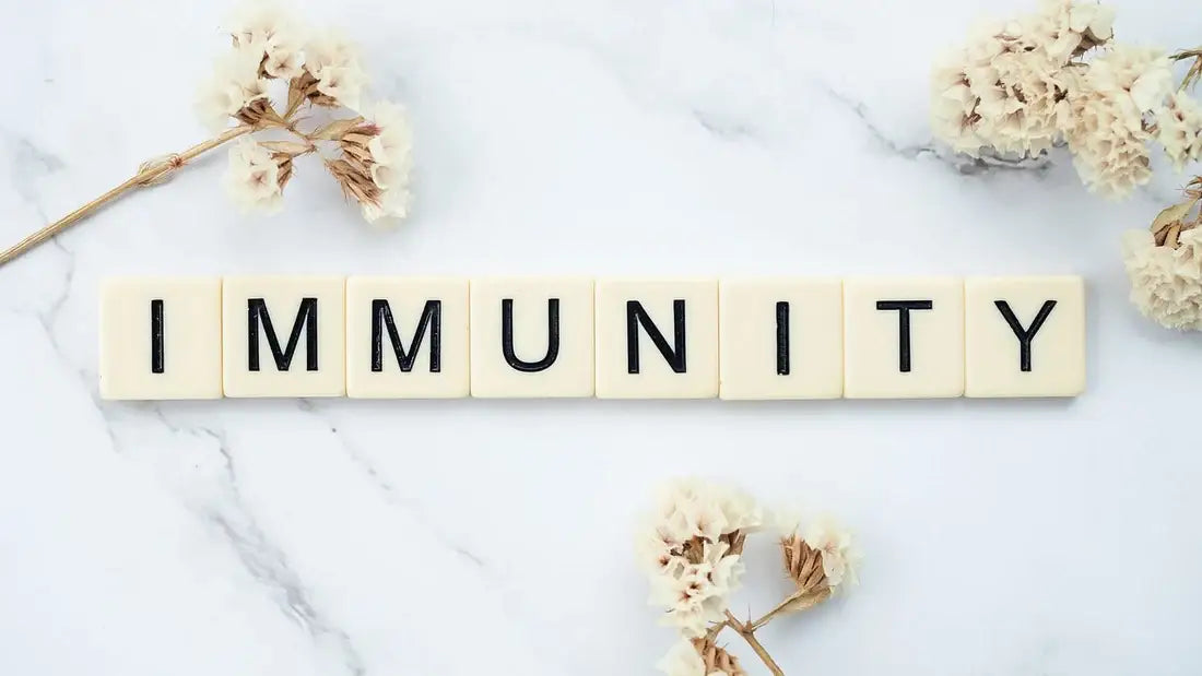 The word 'IMMUNITY' spelled out in black letters on cream-colored square tiles, arranged on a white marble surface with dried white flowers.